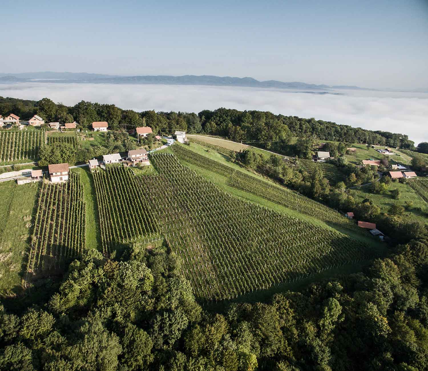 Dolenjska Weinstraße — 10 km from Zidanica v Gaj, Dolenjska